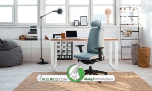 امکانات یک صندلی ارگونومیک